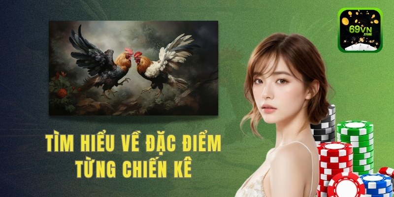 Tìm hiểu về đặc điểm từng chiến kê trước khi tham gia đá gà 69VN